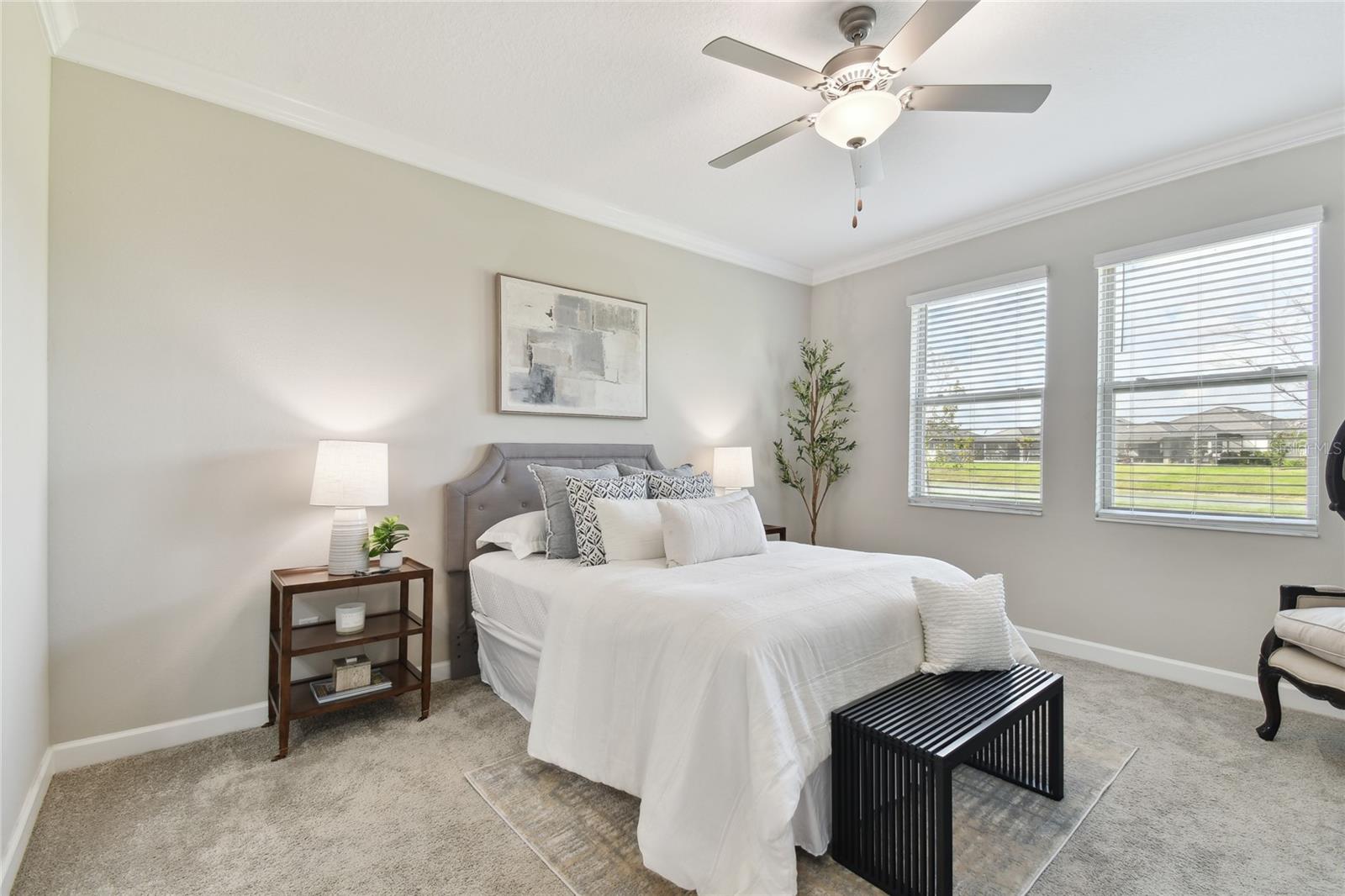 31675 CANNON RUSH DR
