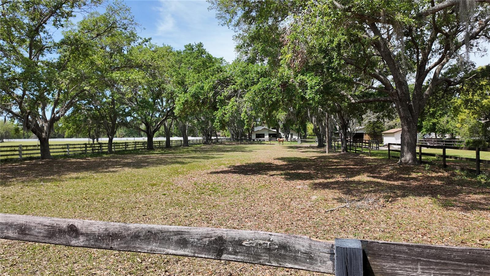 1691 RIDGE TOP DR