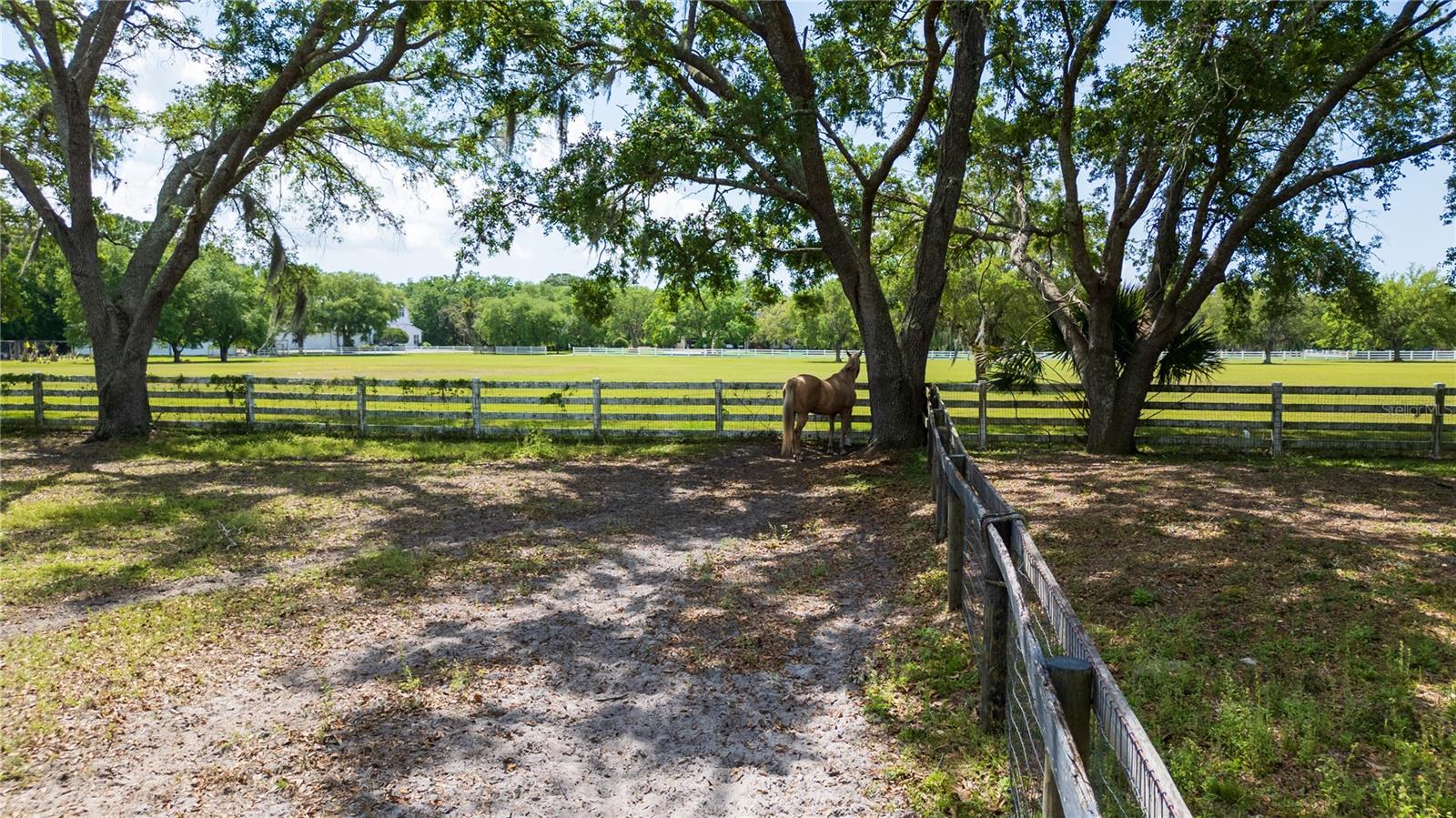 1691 RIDGE TOP DR
