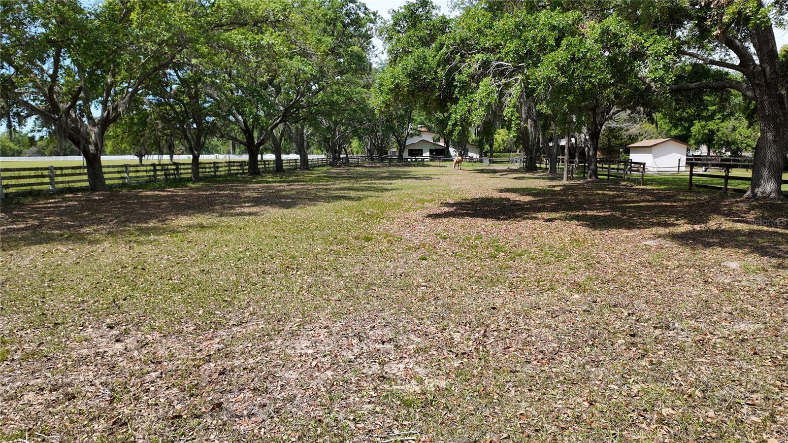 1691 RIDGE TOP DR