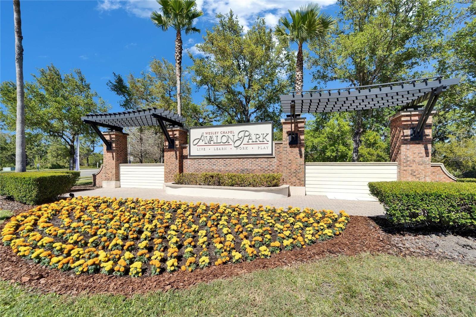 5179 AVALON PARK BLVD