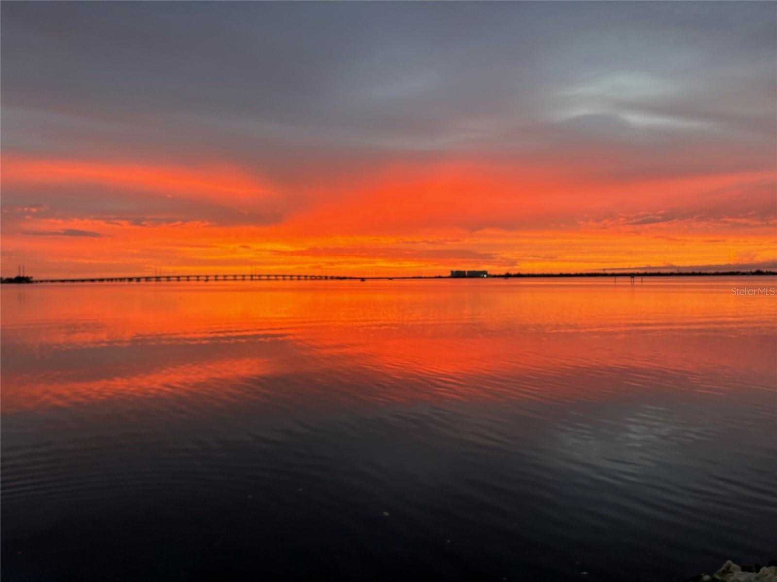 900 E MARION AVE #1403