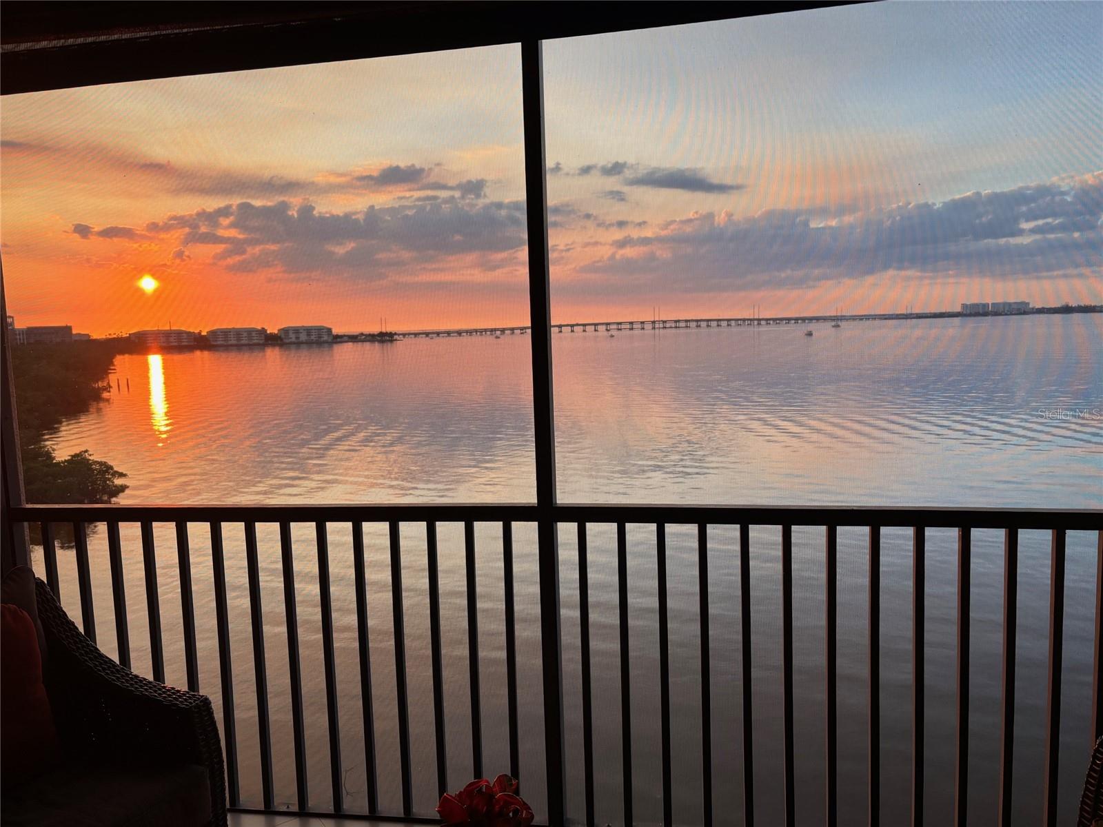 900 E MARION AVE #1403