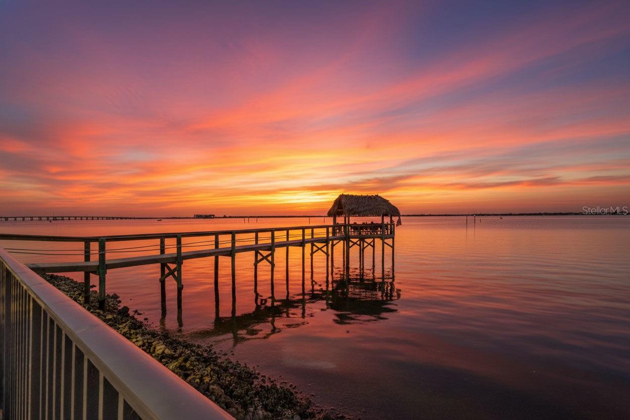 900 E MARION AVE #1301