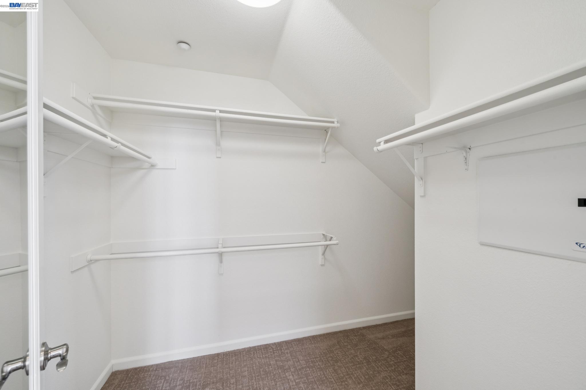 Walk-in closet with multiple white hanging rods, built-in shelves, and brown carpet.