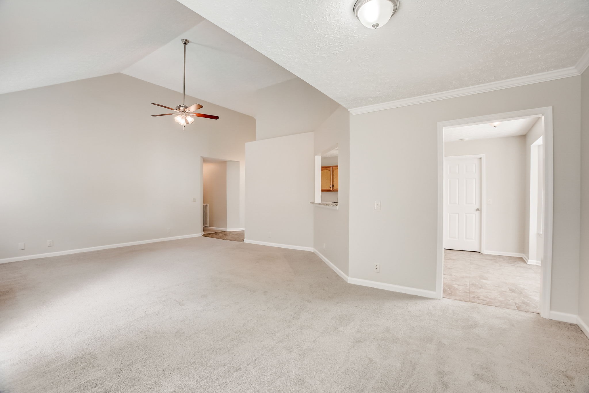 900 Celeste Ct