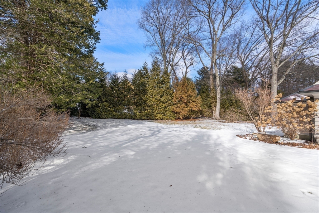 243 Ridgeway Rd