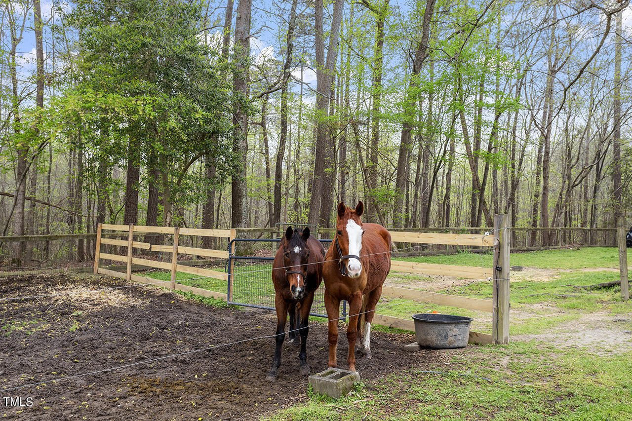 106 Ramseur Road Road