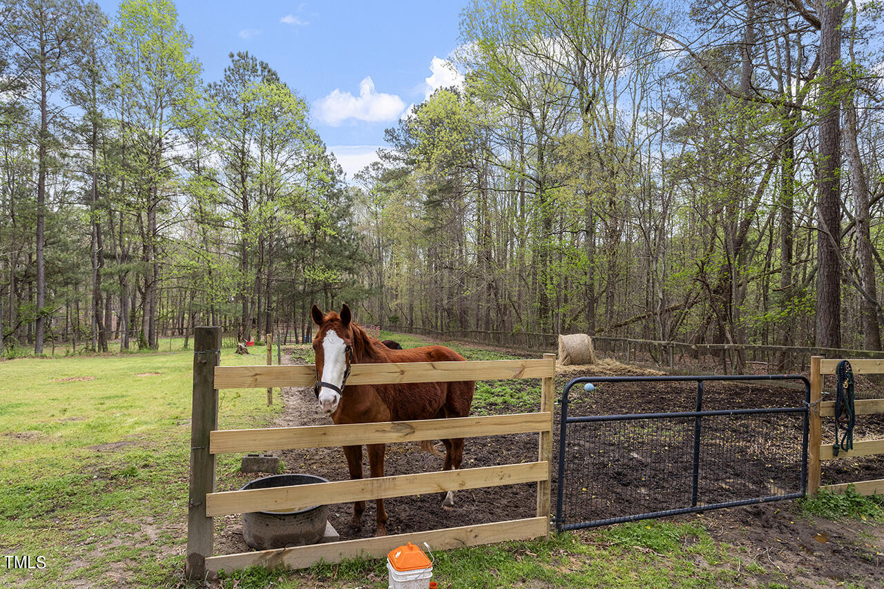 106 Ramseur Road Road