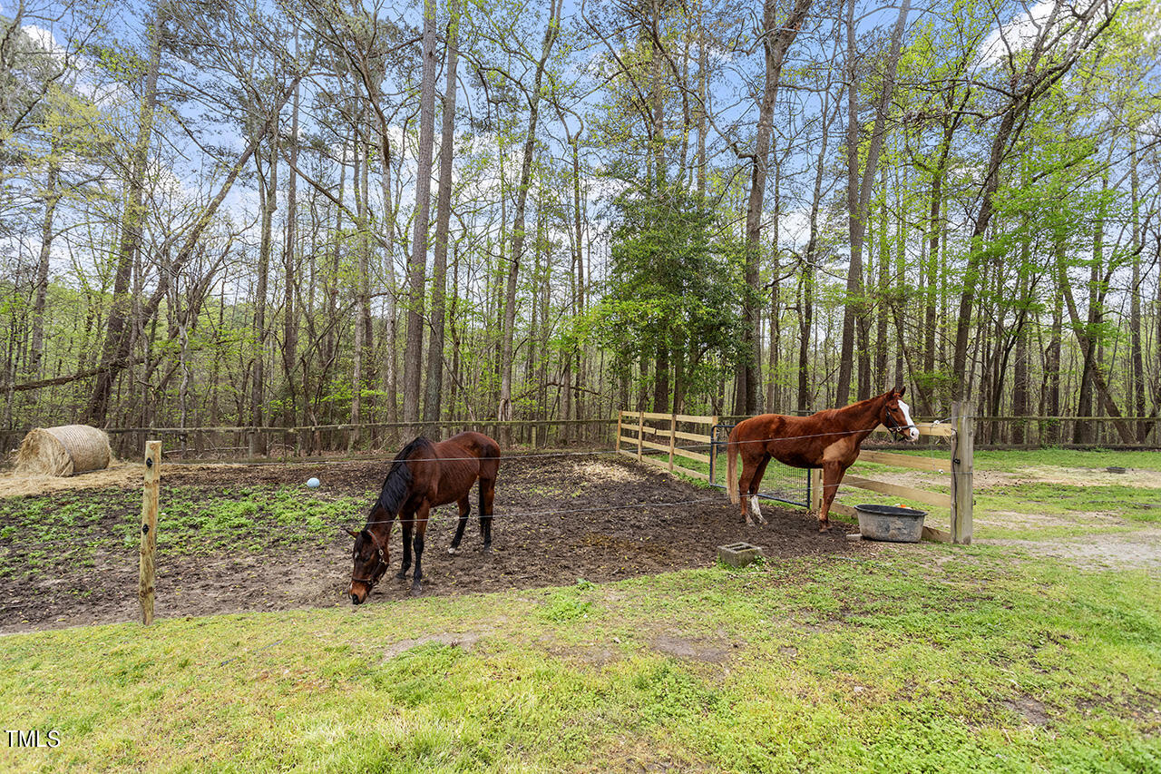 106 Ramseur Road Road