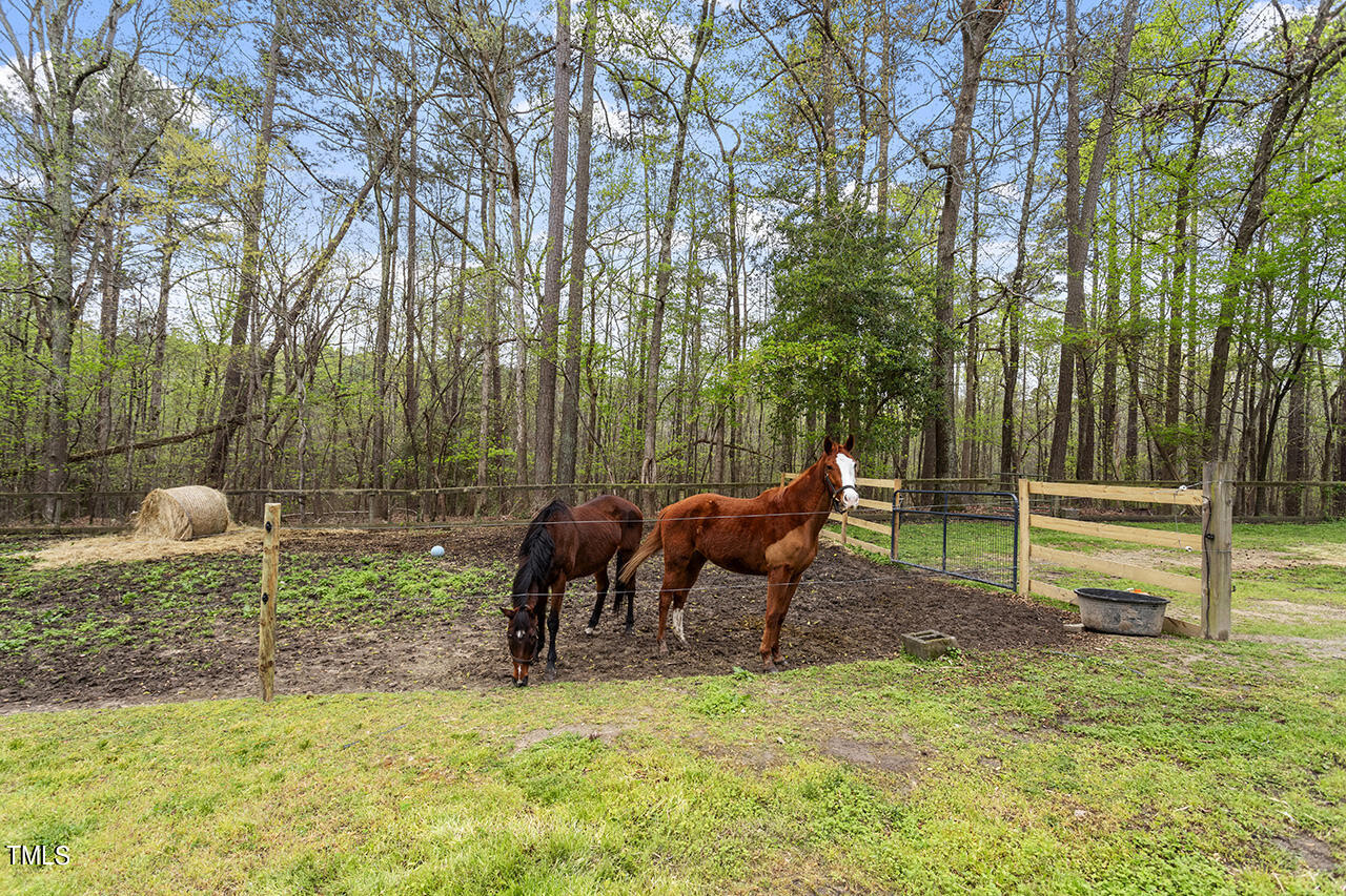 106 Ramseur Road Road