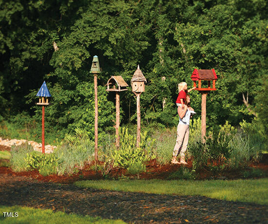 241 Serenity Hill Circle