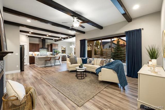 1775 Catnap Lane