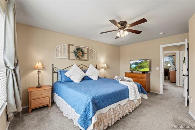 4298 Apache Plume Drive