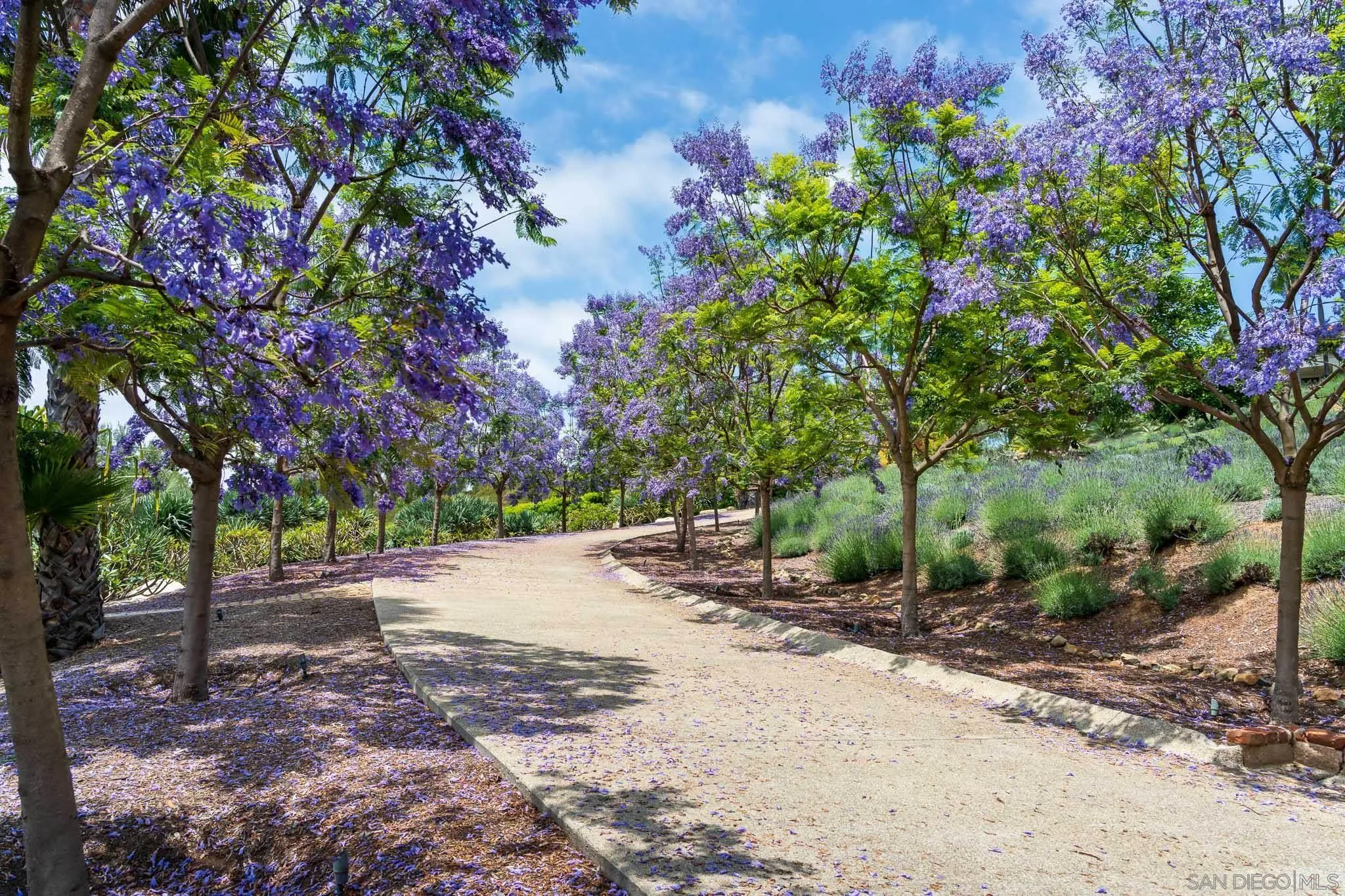 18245 Paseo Victoria