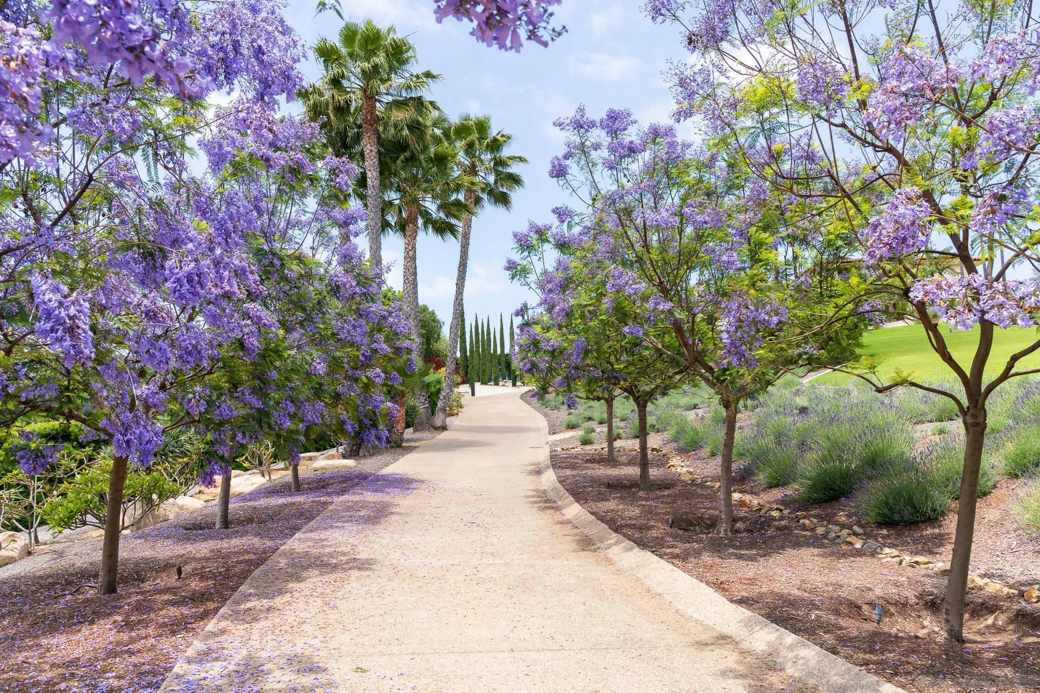 18245 Paseo Victoria