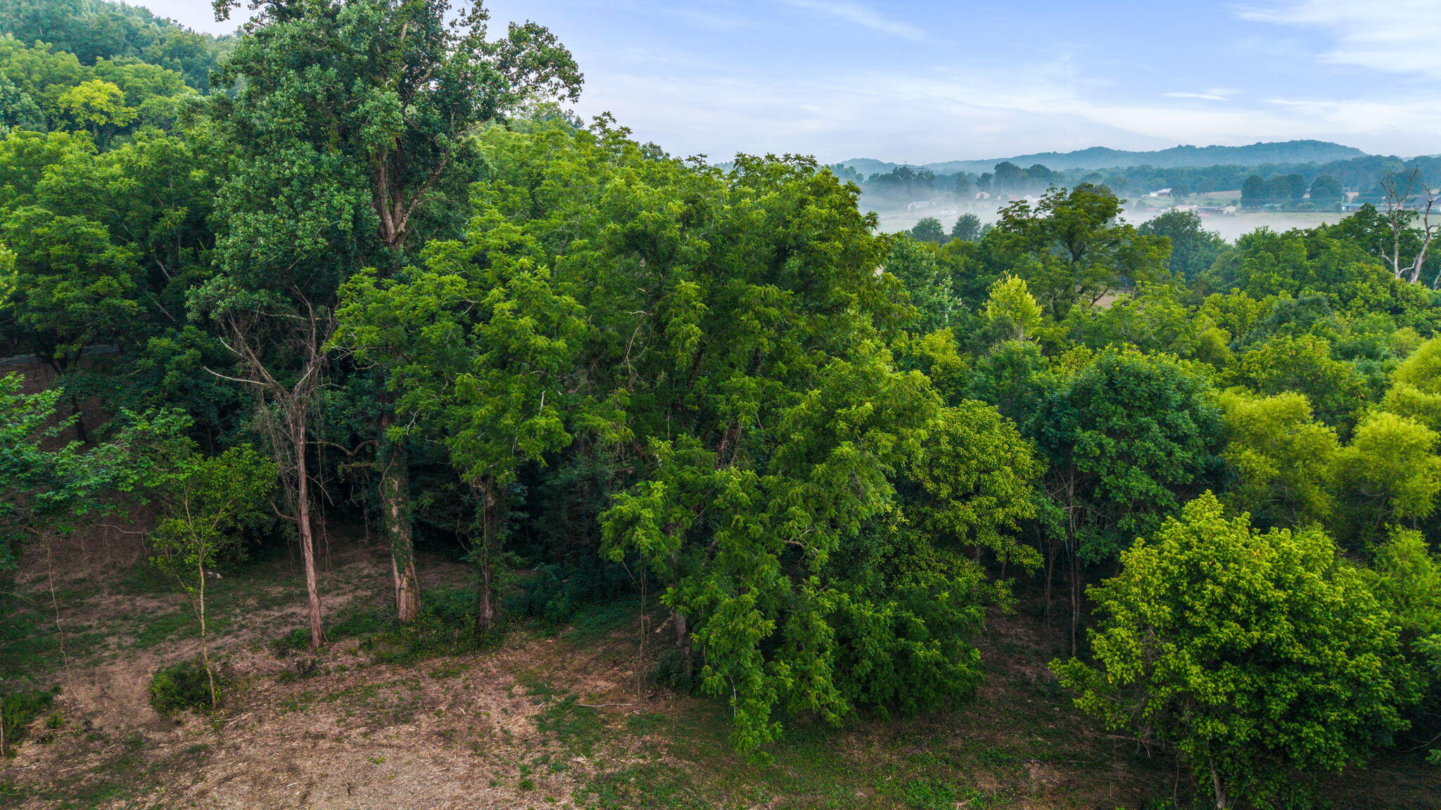 259 County Road 60