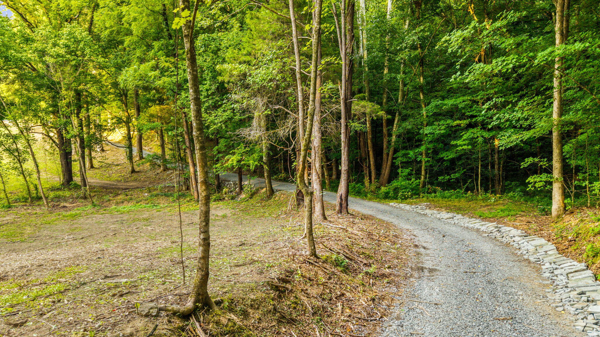 259 County Road 60