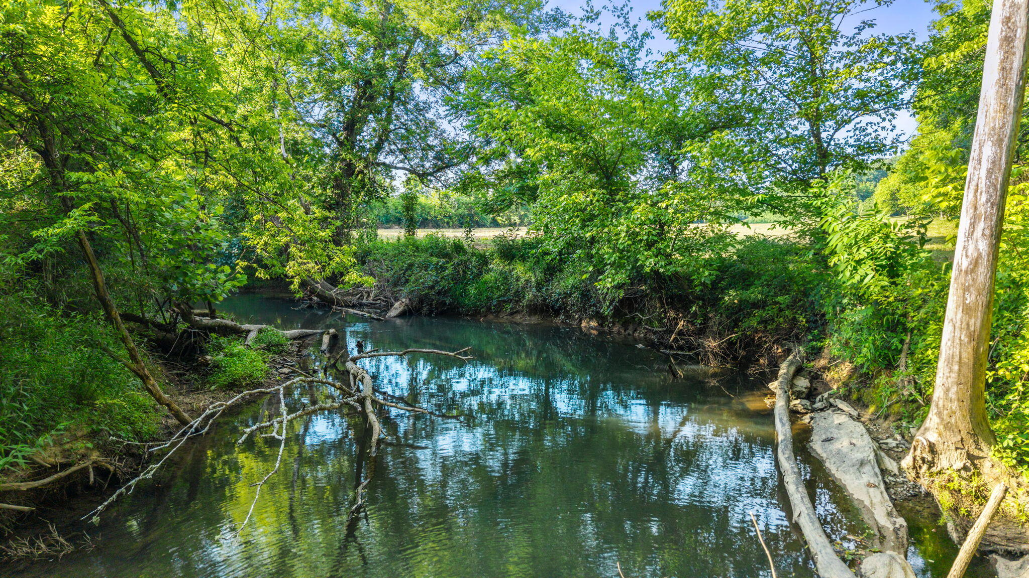 259 County Road 60