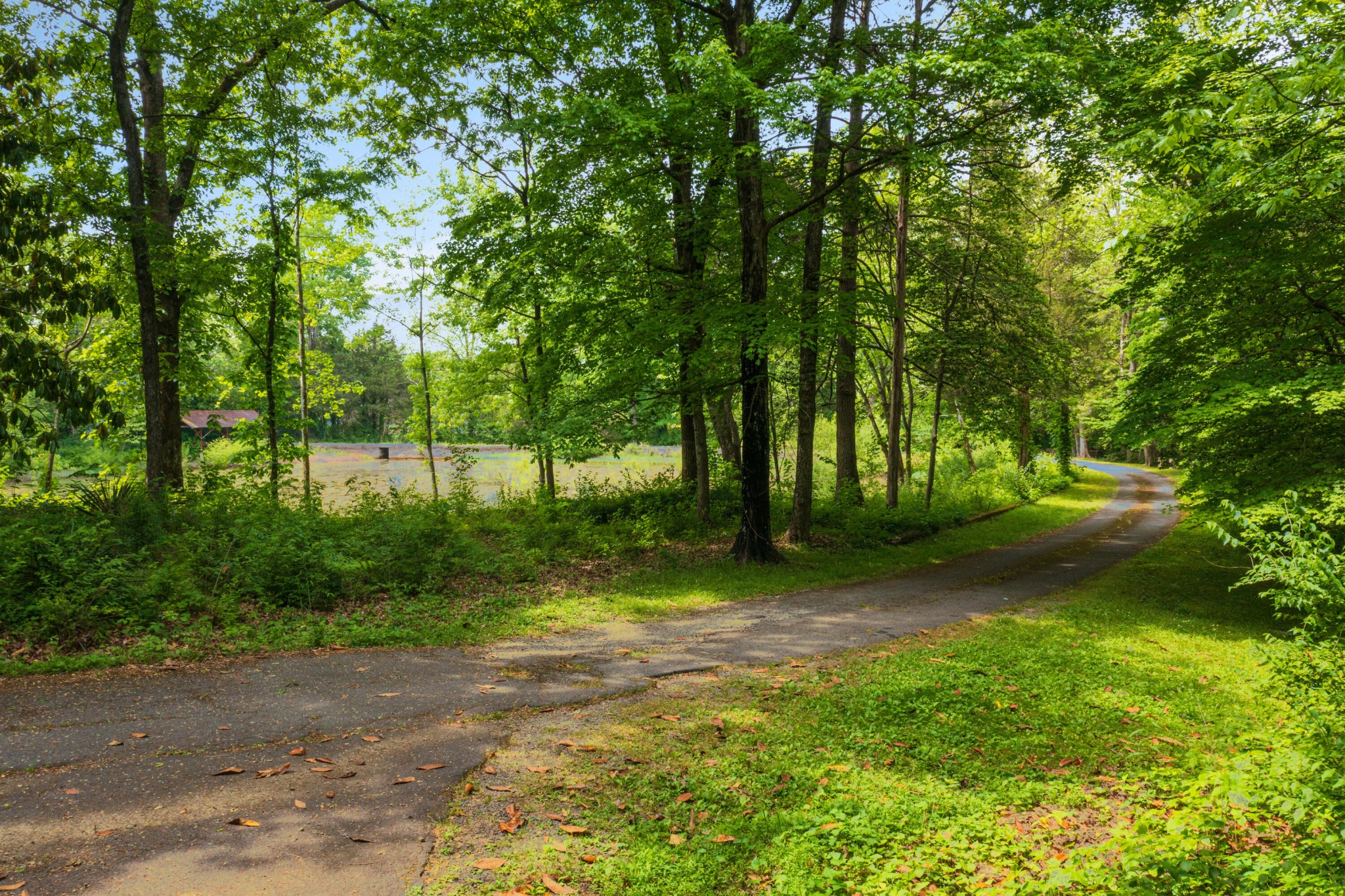 201 Fillauer Lake Rd, NE