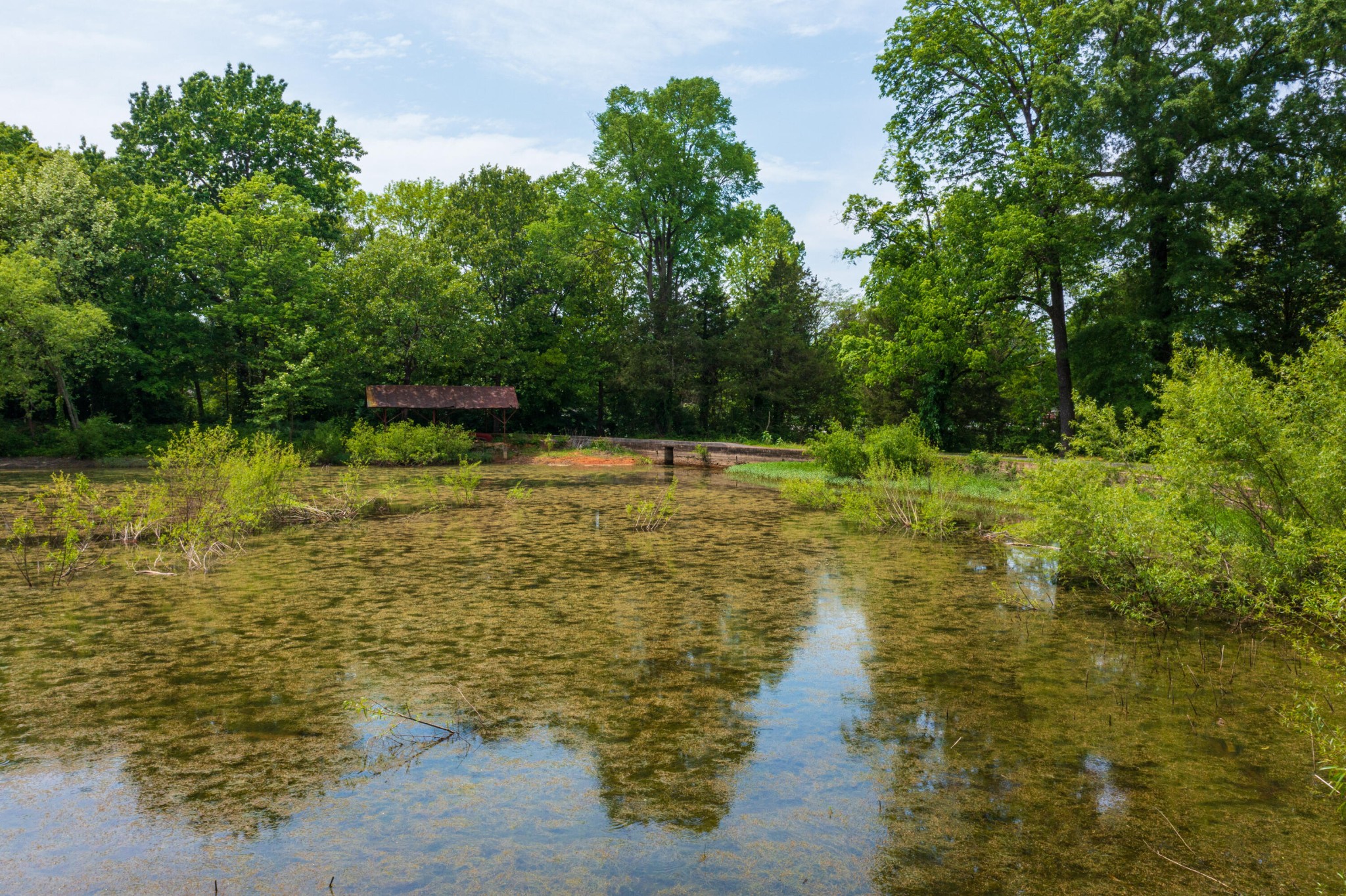 201 Fillauer Lake Rd, NE