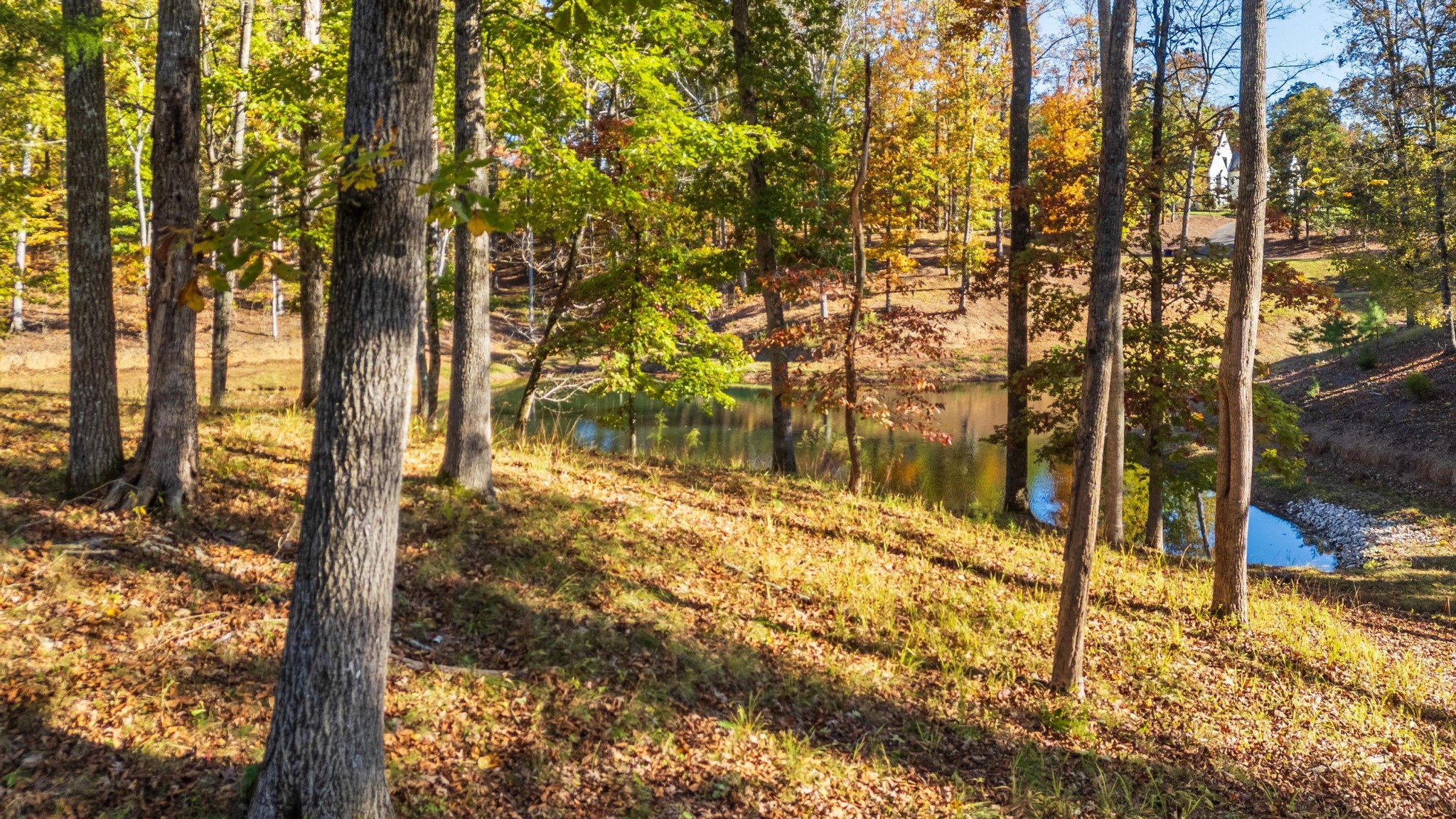 170 Litchfield Lane, NW