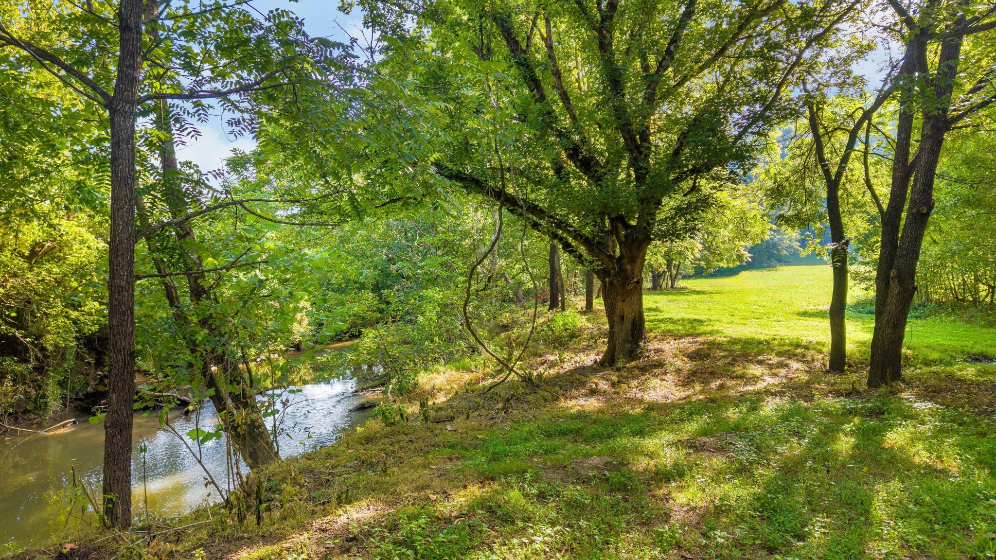 259 County Road 60