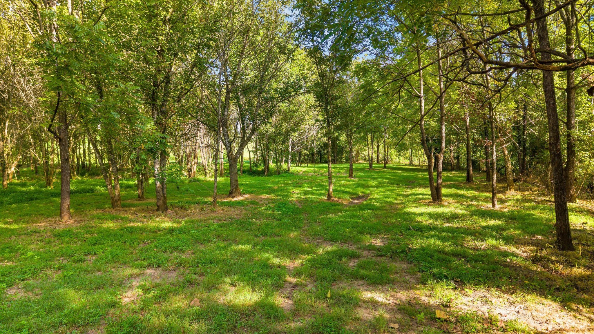 259 County Road 60