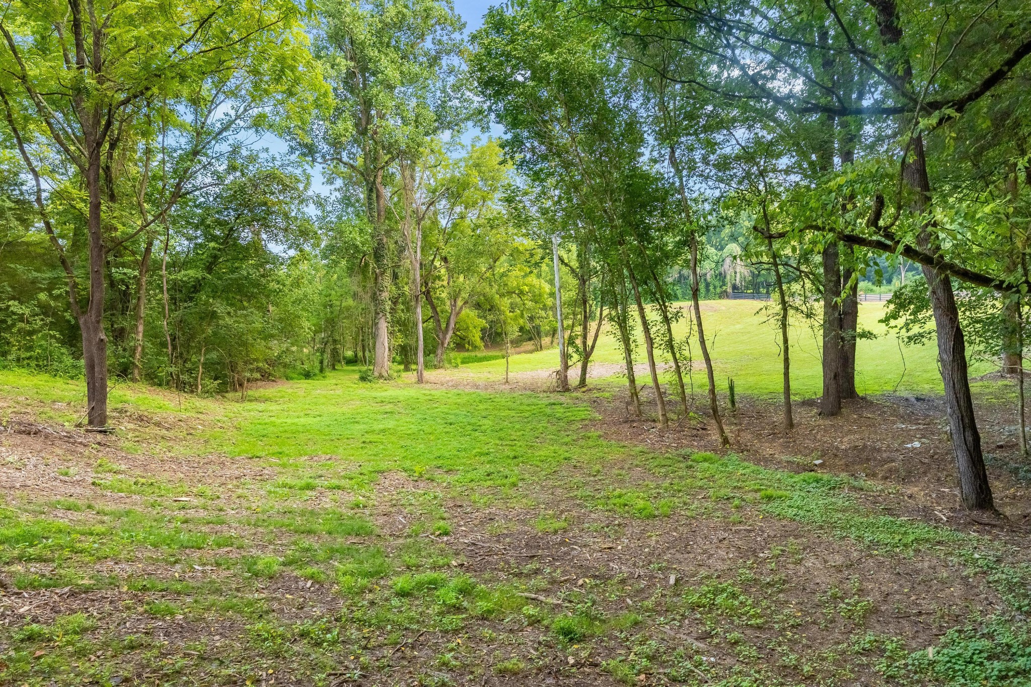 259 County Road 60