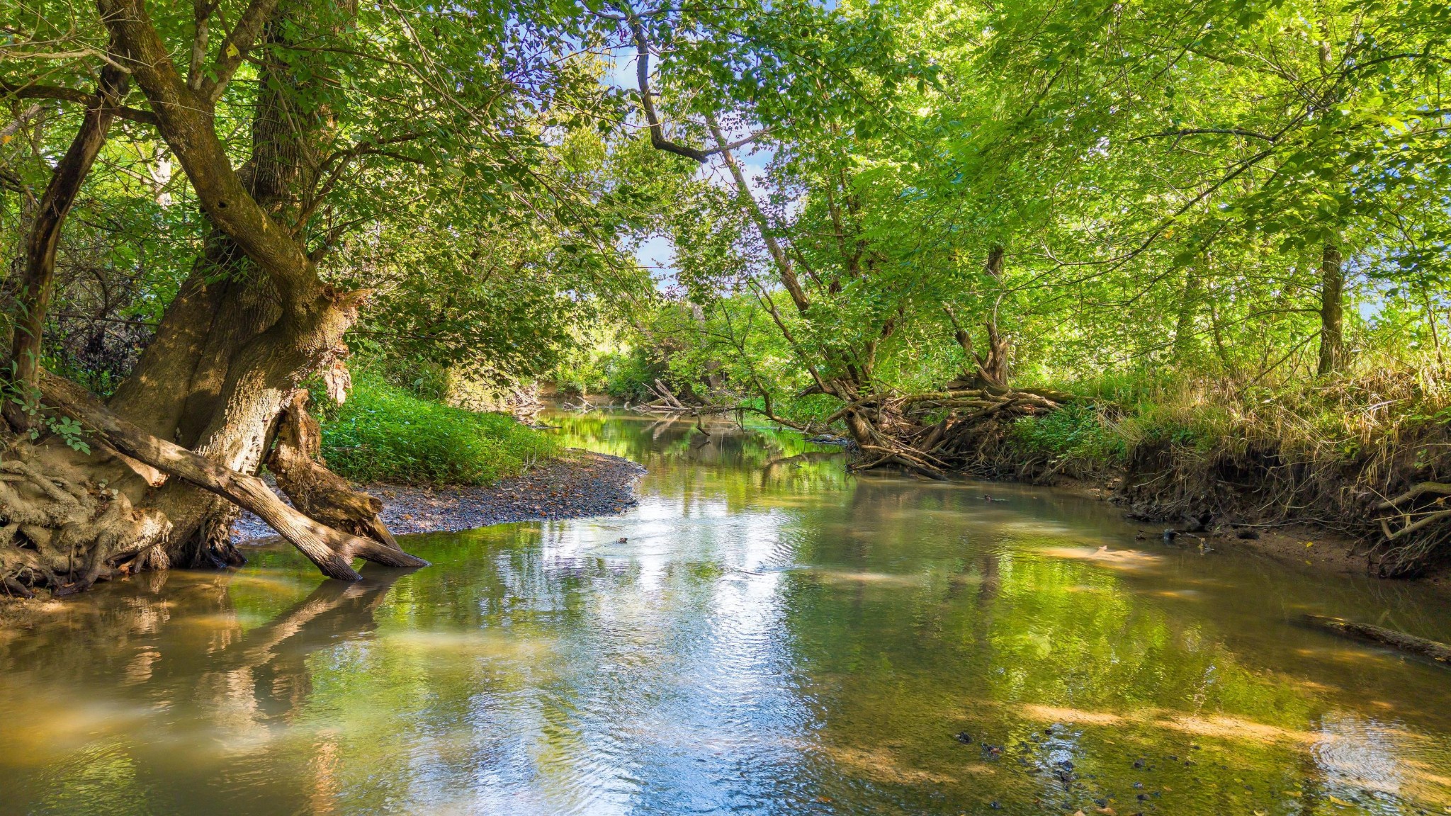 259 County Road 60