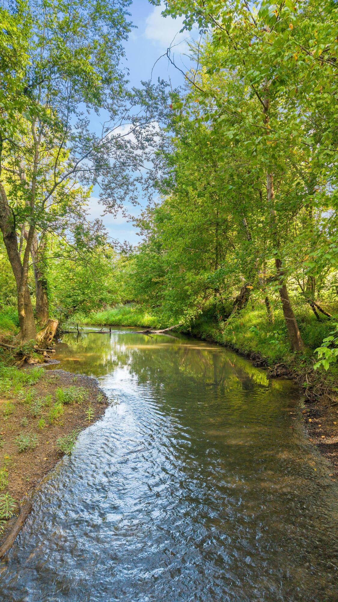 259 County Road 60