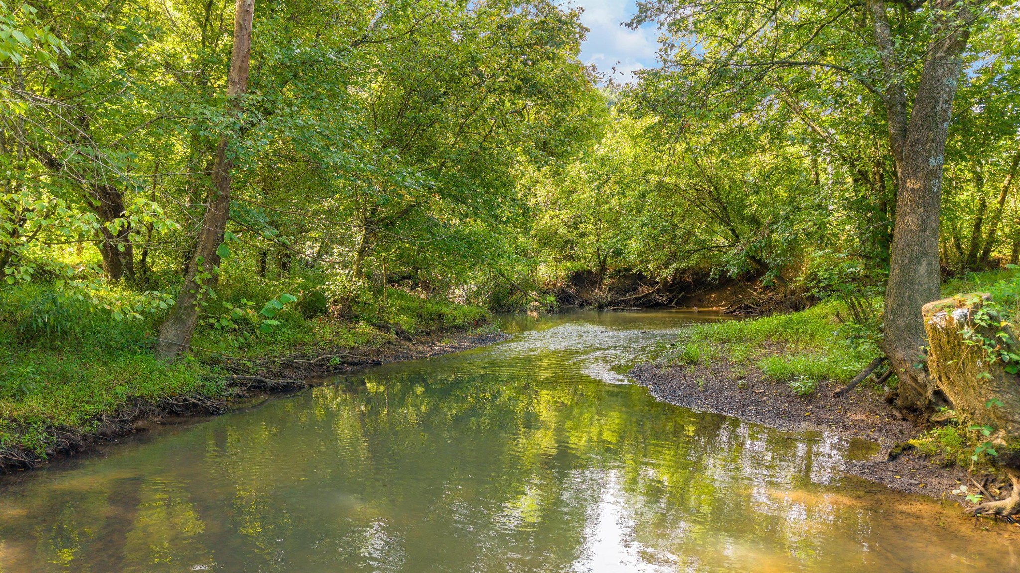 259 County Road 60