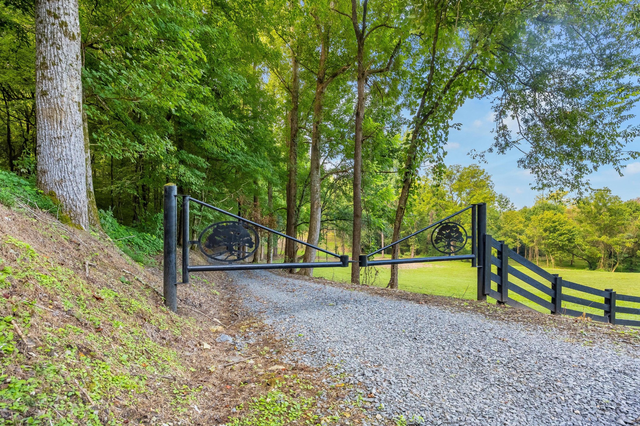 259 County Road 60