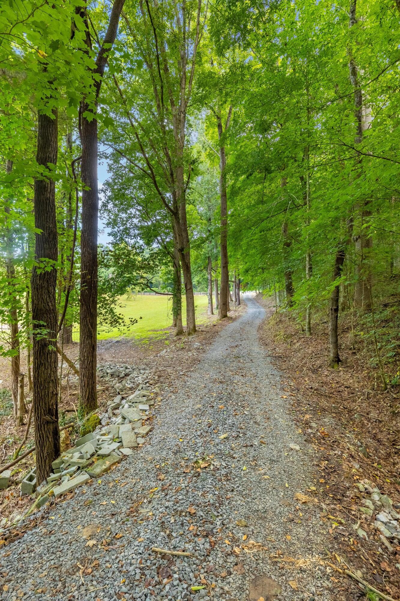 259 County Road 60