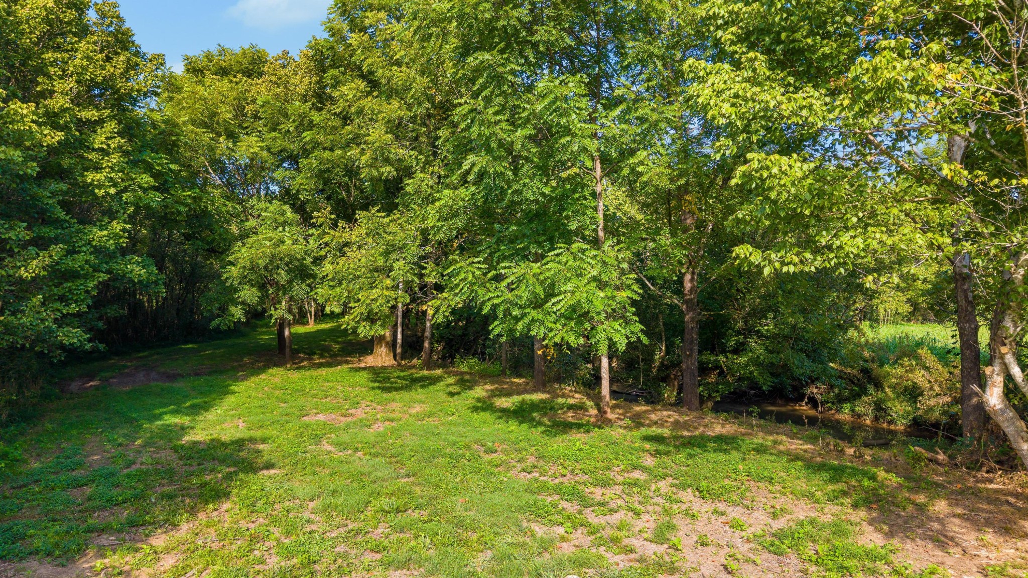 259 County Road 60