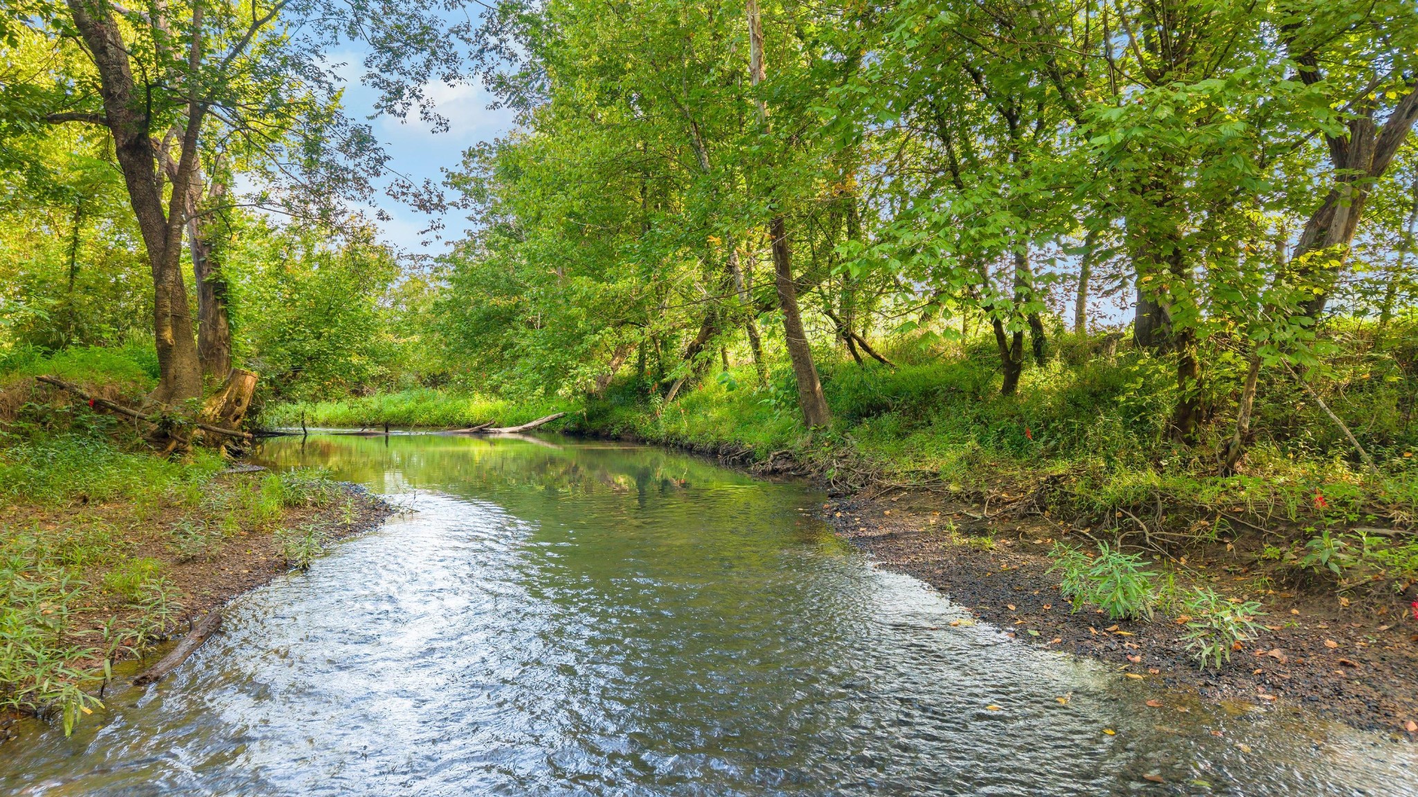 259 County Road 60