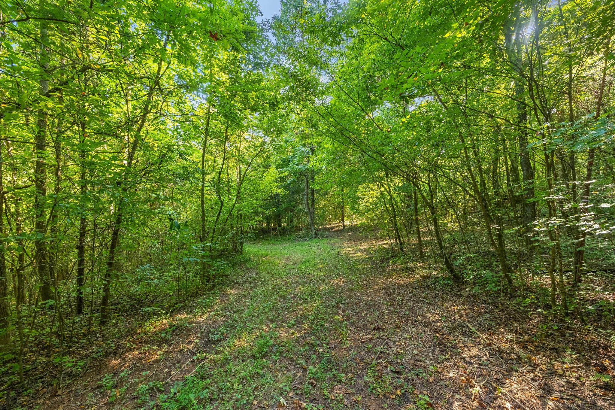259 County Road 60