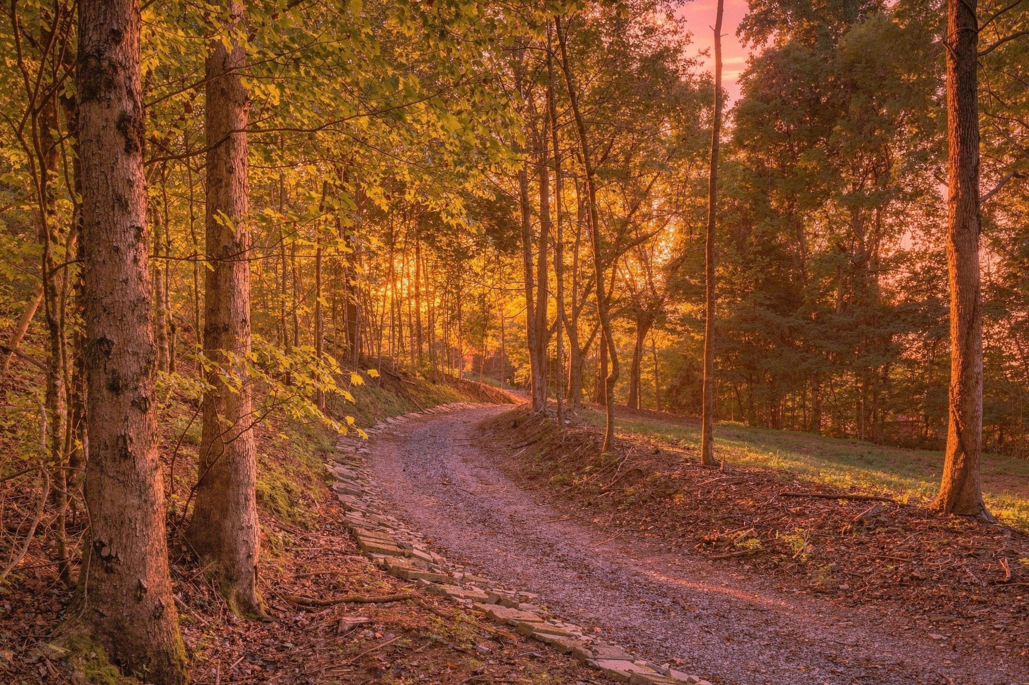 259 County Road 60