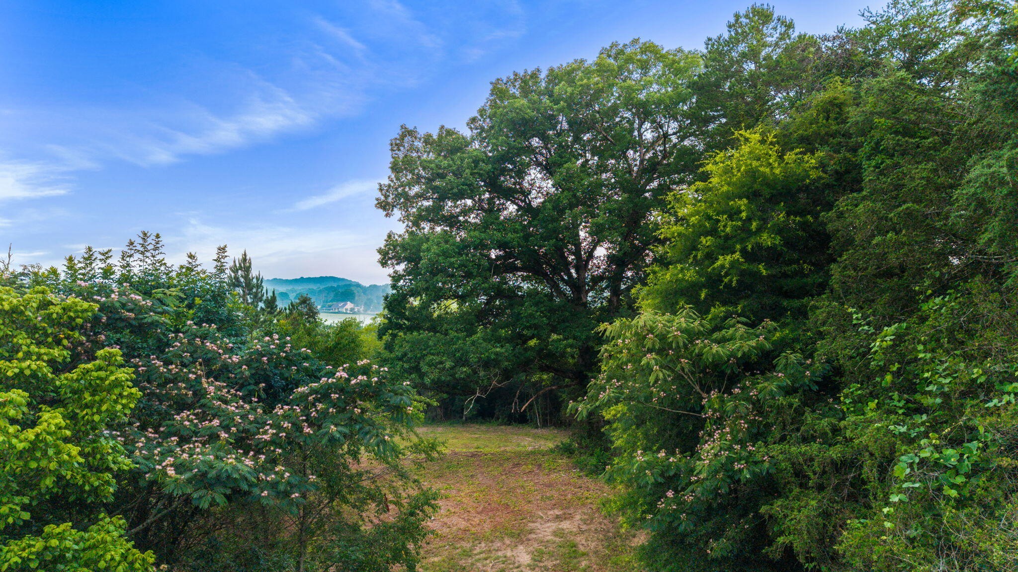 259 County Road 60