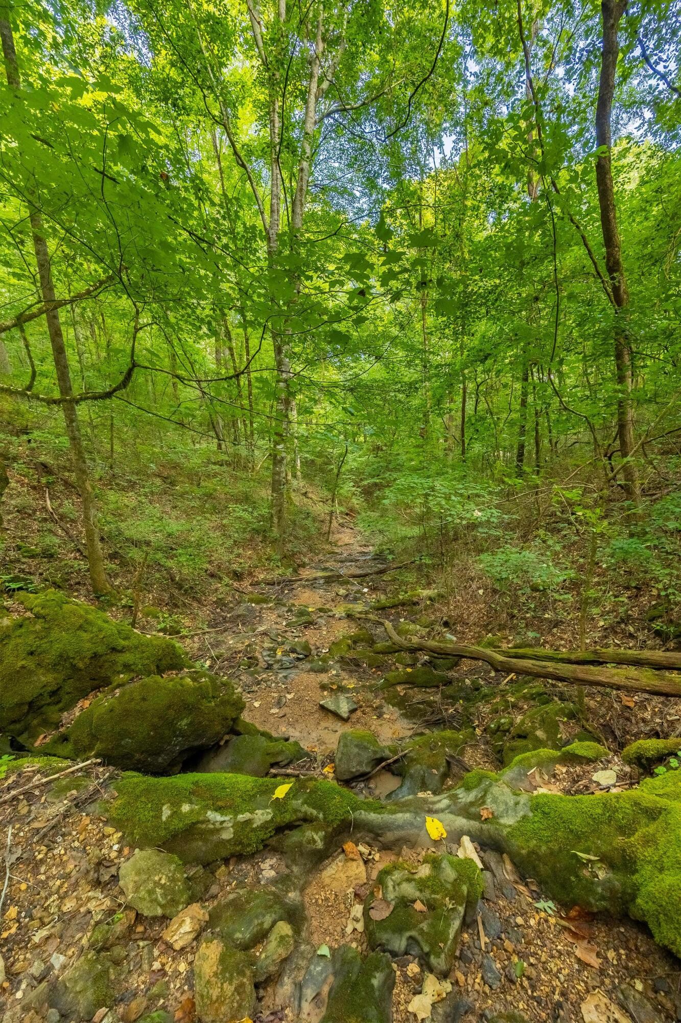 259 County Road 60