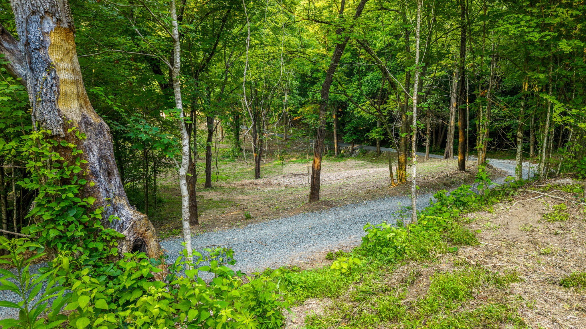 259 County Road 60