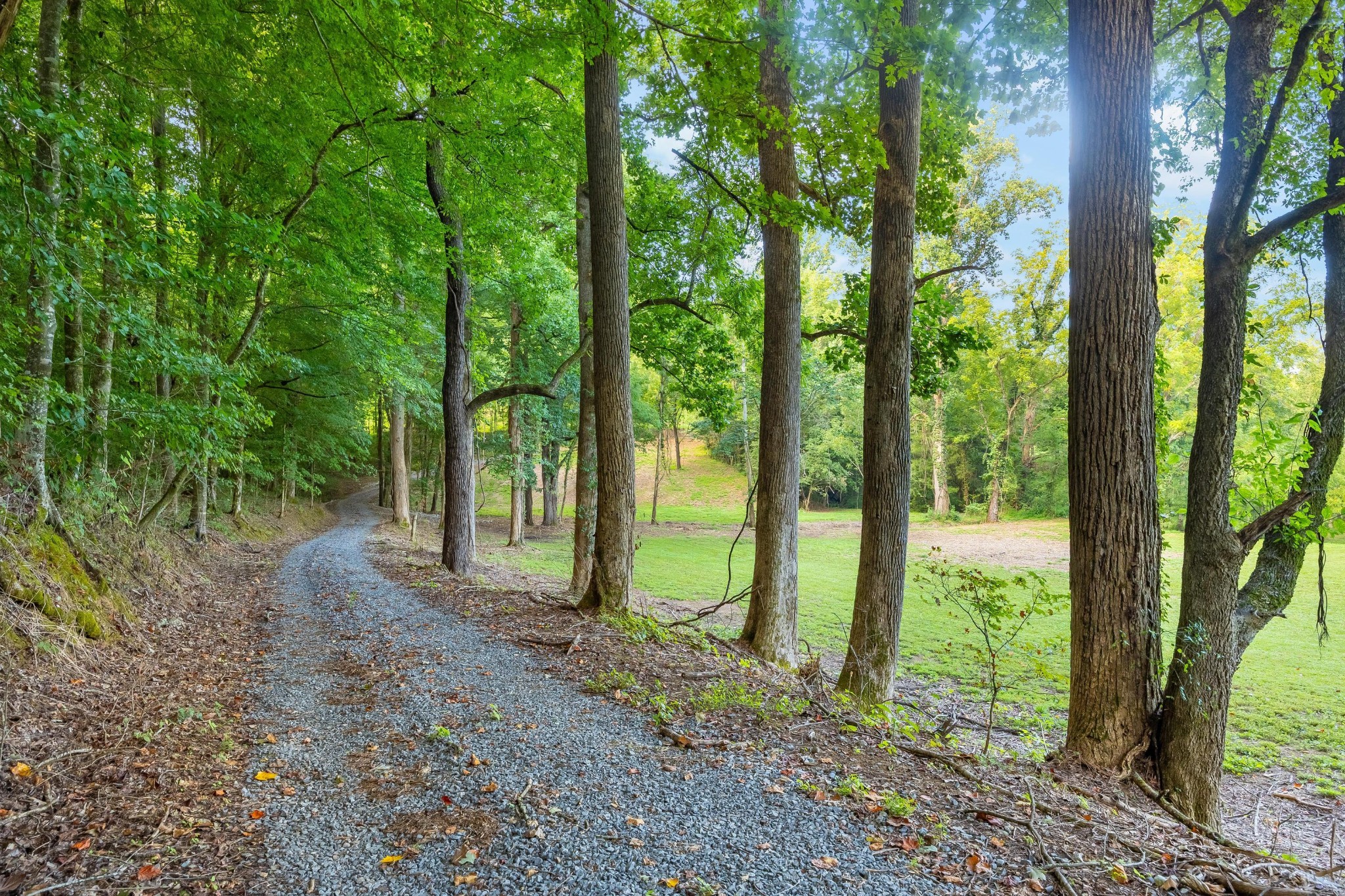 259 County Road 60