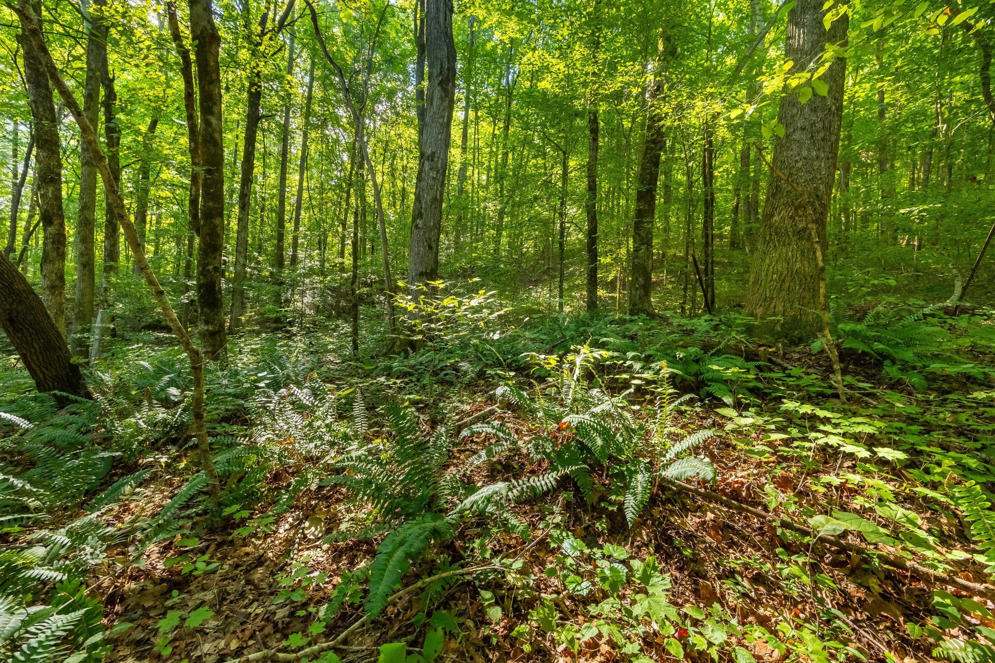 259 County Road 60