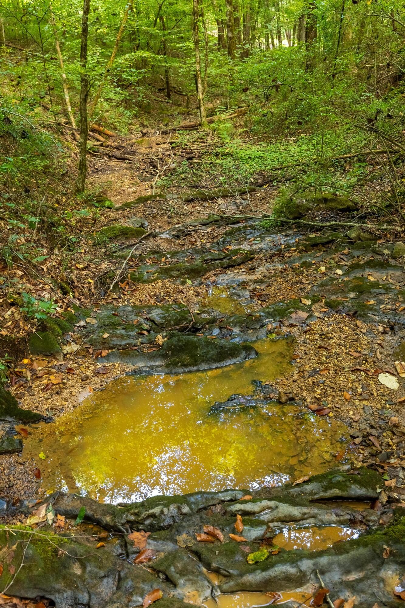 259 County Road 60