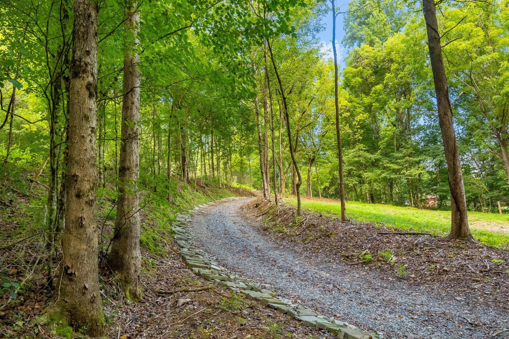 259 County Road 60