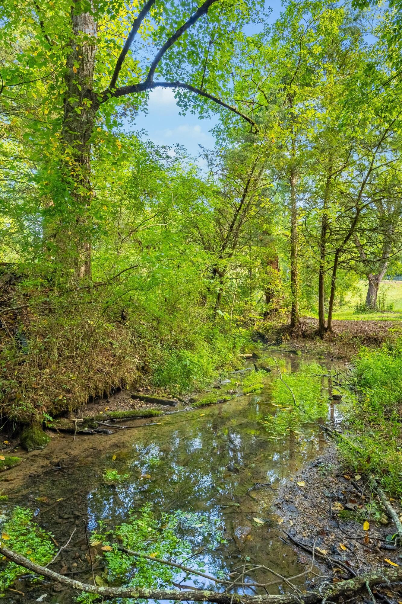 259 County Road 60
