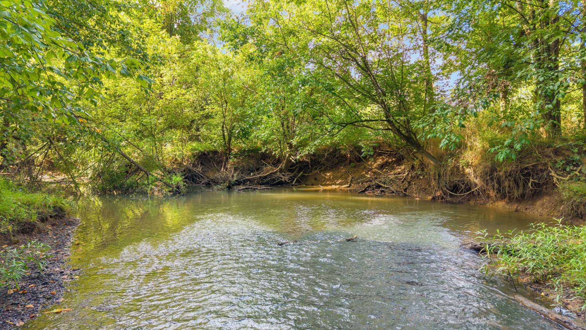 259 County Road 60