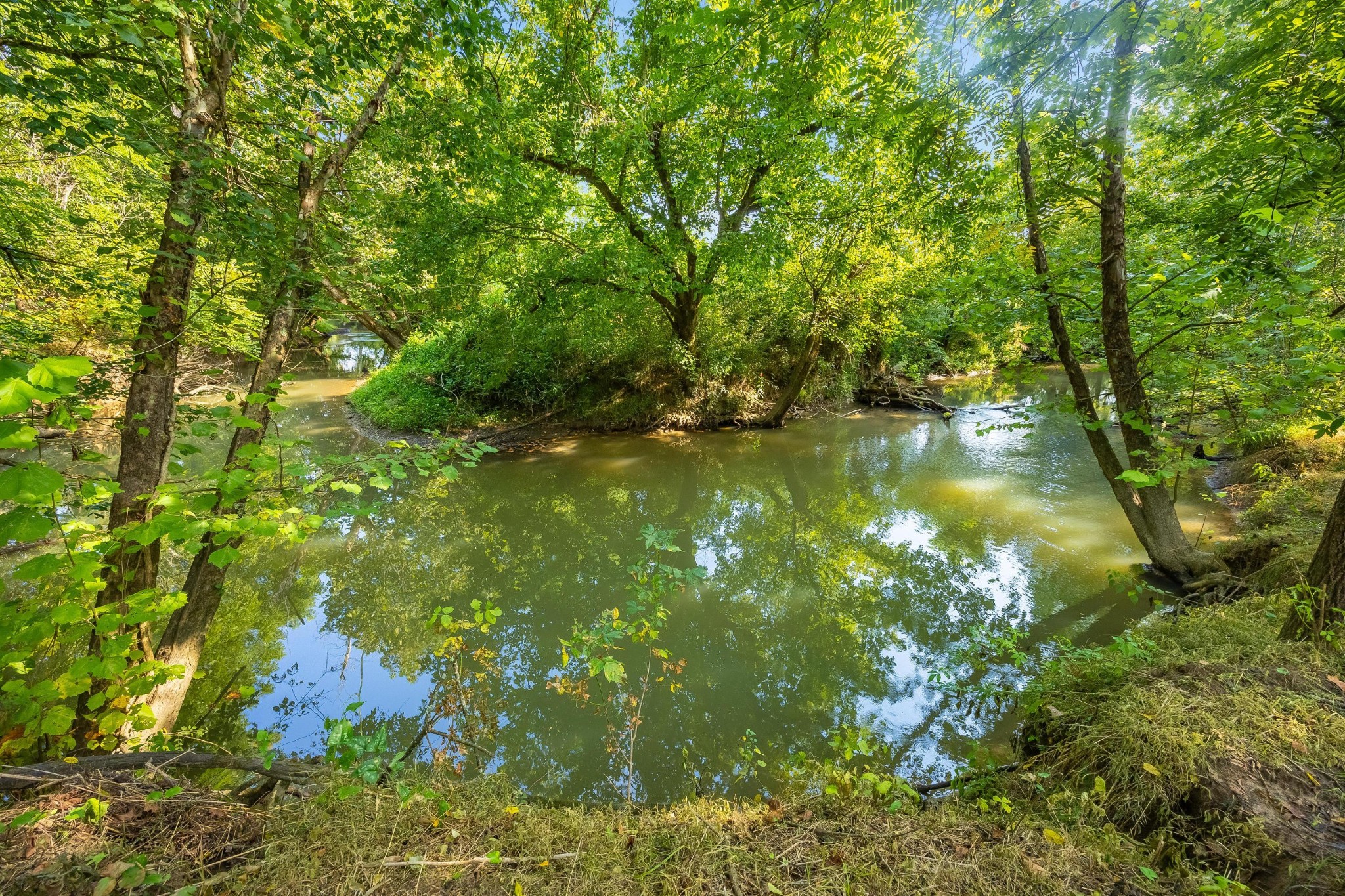 259 County Road 60