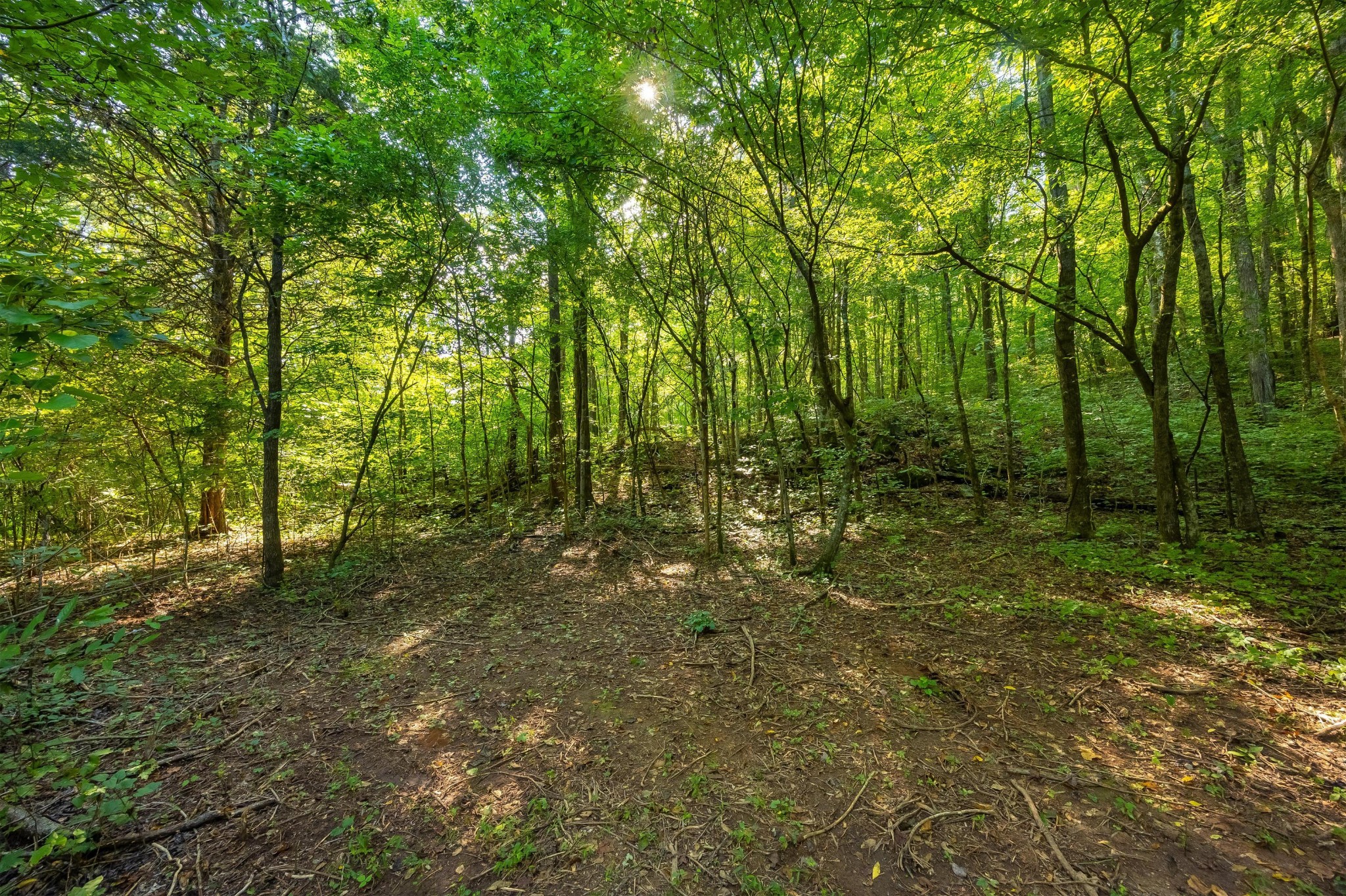 259 County Road 60