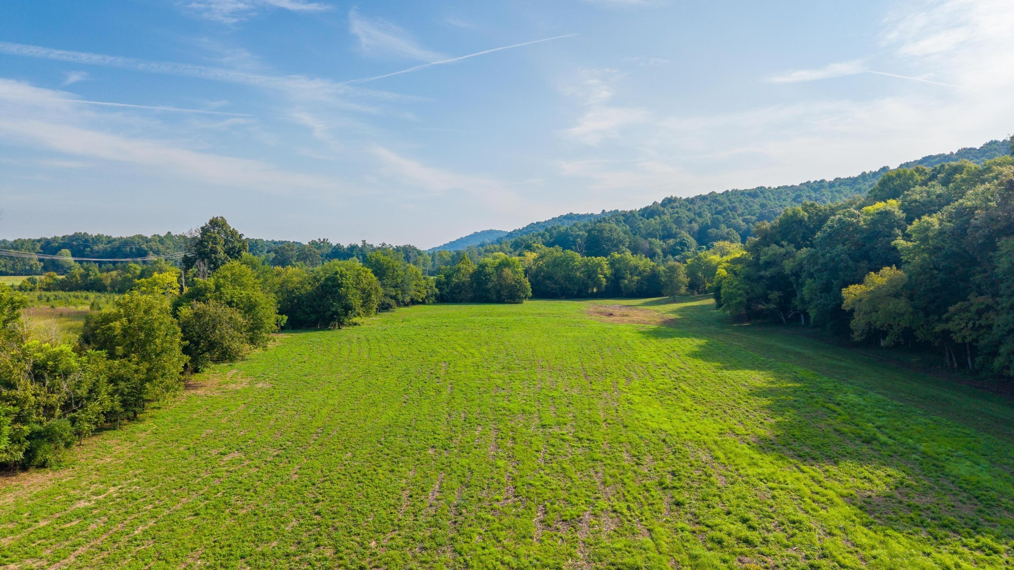 259 County Road 60